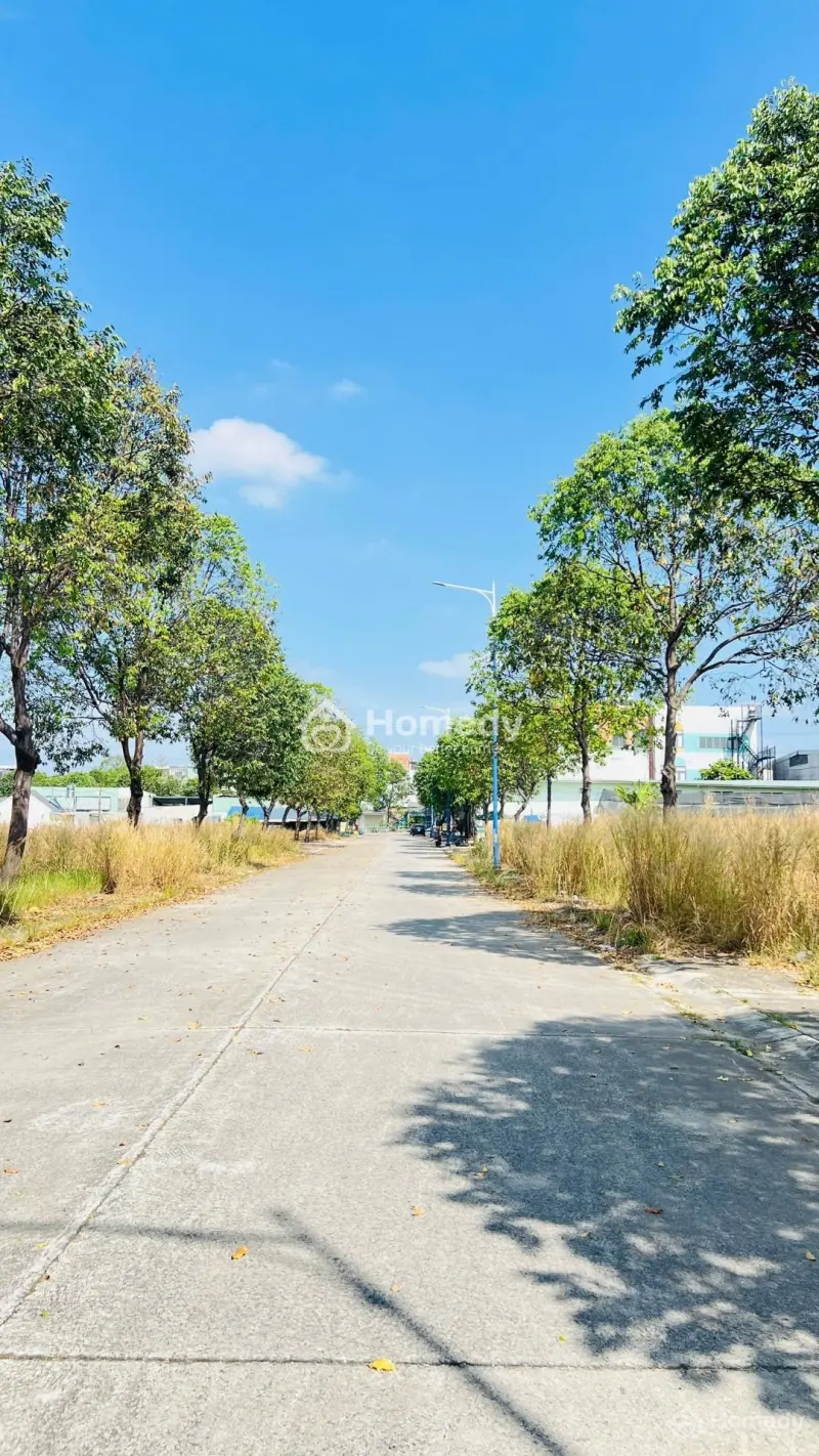 Chính Chủ Cần Bán Nhanh 150M2 Full Thổ Cư, Dân Cư Đông Đúc, Đường 16M