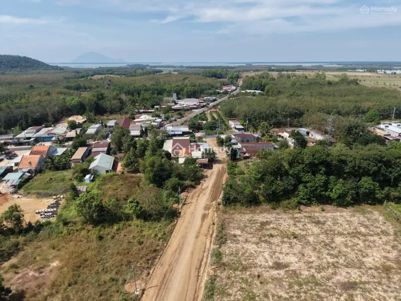 Bán Đất Mặt Tiền Đường Nhựa Đh715 Dầu Tiếng, Bình Dương Chỉ 650Tr