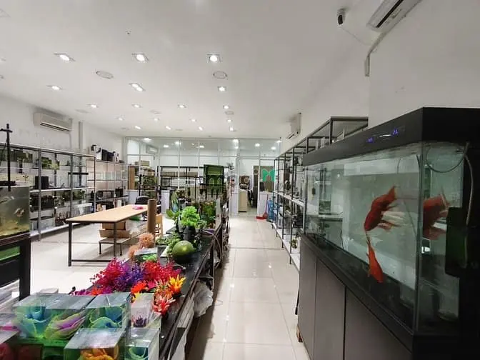 Cho Thuê Mặt Bằng Shophouse (Có Ban Công, Có Lầu)