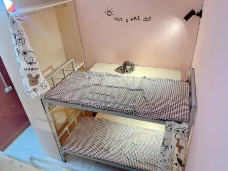 Tìm Nữ Ở Ghép - Chỉ Cần Xách Vali Đến Ở