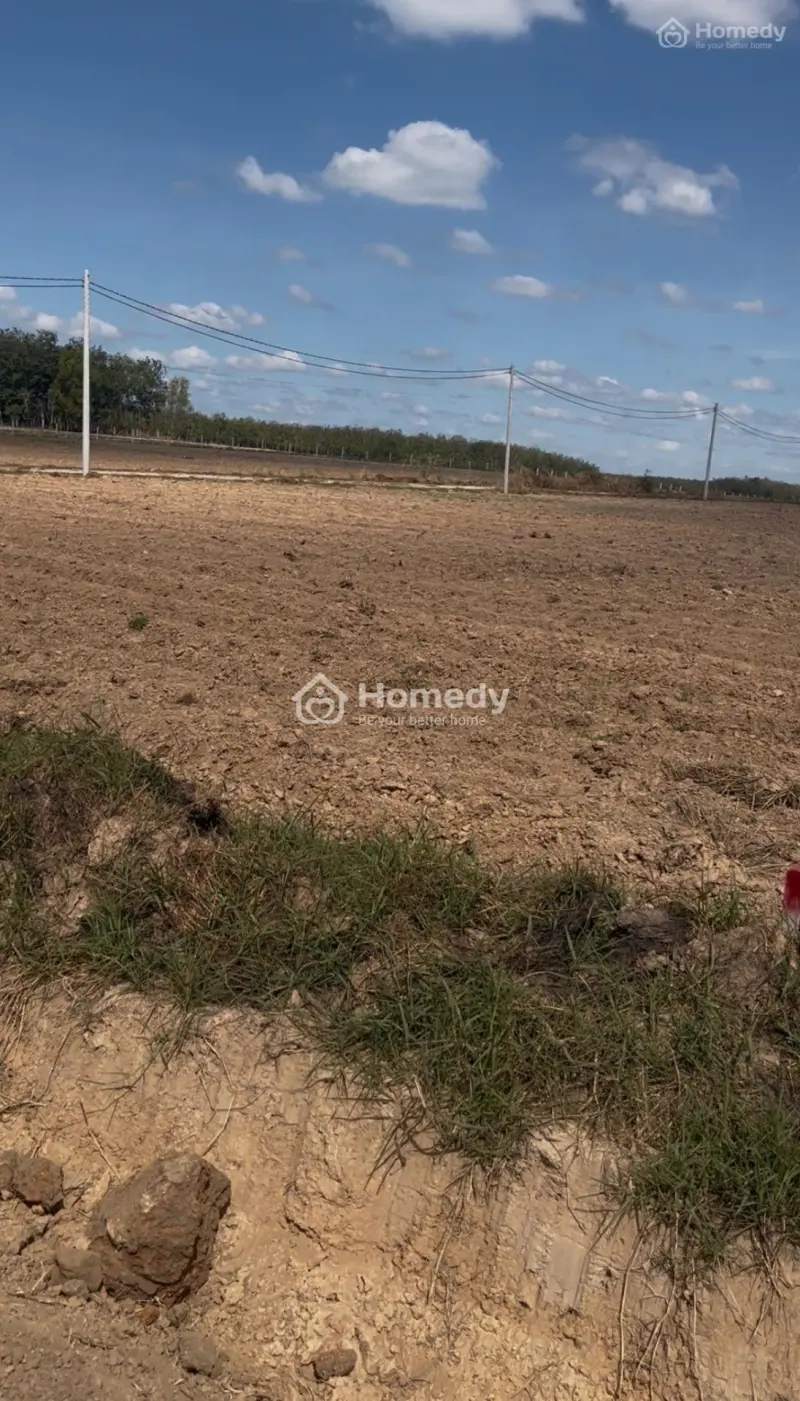 Bán Đất Mặt Tiền Đường Nhựa Đh715 Dầu Tiếng, Bình Dương Chỉ 650Tr