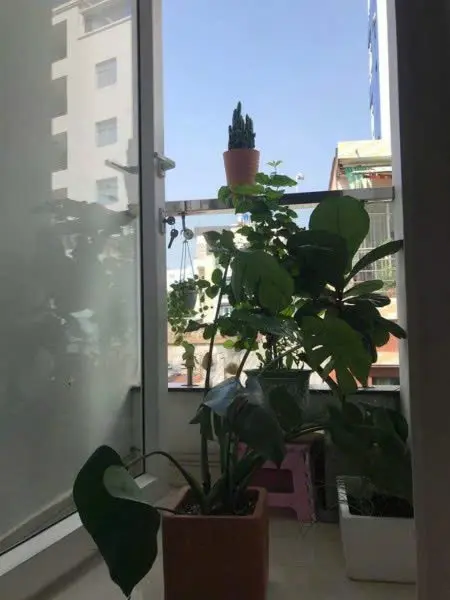 Tìm Một Bạn Nữ Văn Phòng Ở Ghép Phòng Trọ 30M2 Ở Phú Nhuận (Sát Phan Xích Long) Giá 2Tr5/Người