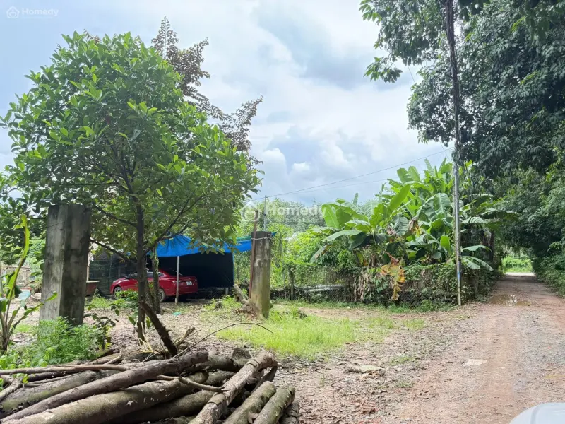 Bán Đất Phường Thới Hòa, Bến Cát Cũ Nhánh Đường Kho Đạn Cây Xăng Thới Hòa