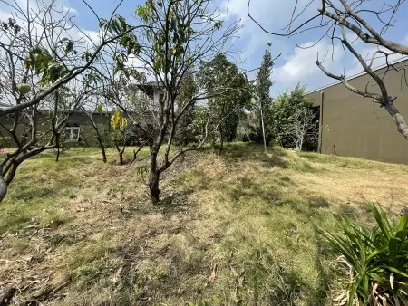 Cho Thuê Mặt Bằng Rộng, Có Sẵn Bối Cảnh Sân Vườn