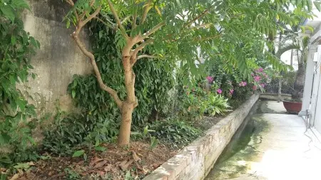 Cho Thuê Nhà Nguyên Căn Có Sân Vườn Tại Hiệp Bình Phước, Tđ