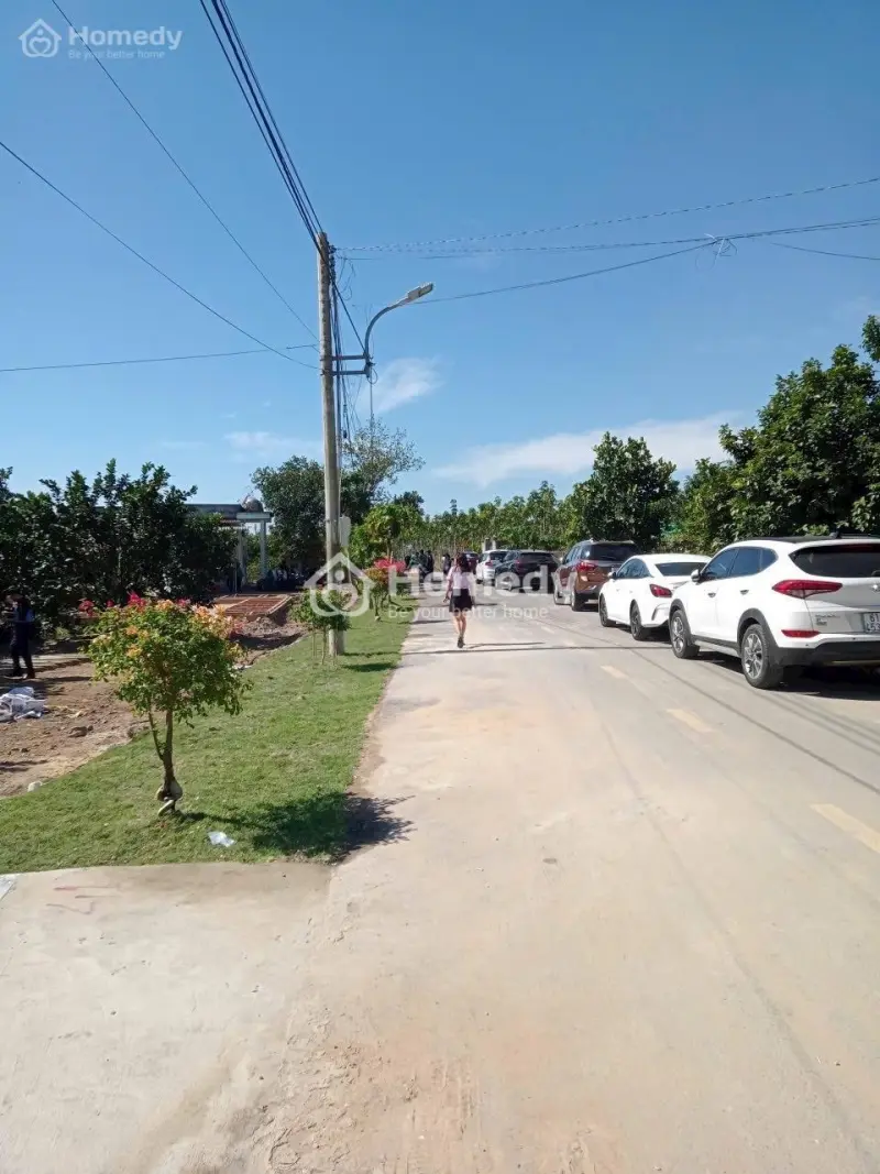 Chỉ 250 Triệu Sở Hữu Đất Thổ Cư Ngay Hôm Nay - Tặng Vườn Bưởi Đang Thu Hoạch