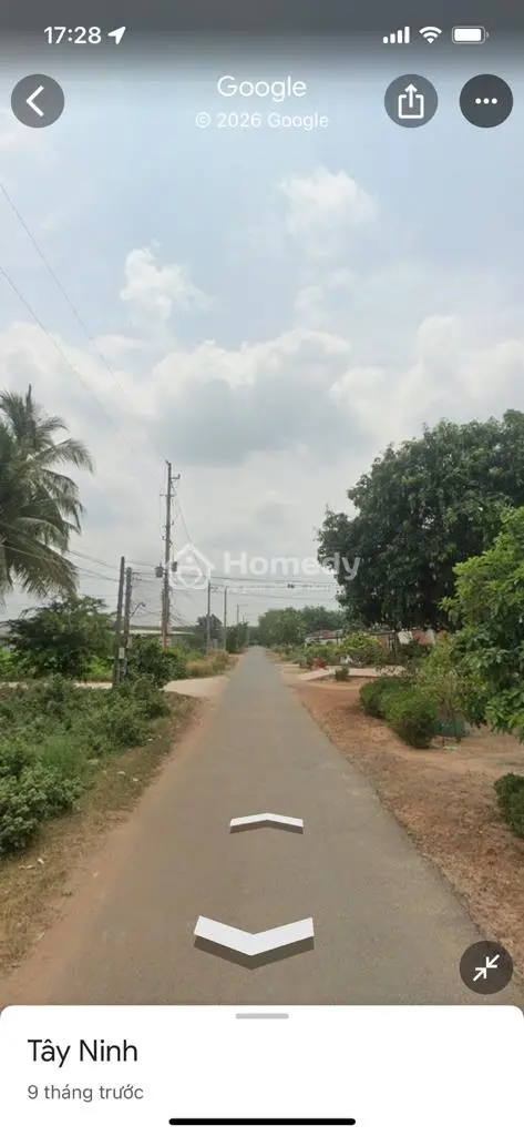 Đất Cln Fun Hồng