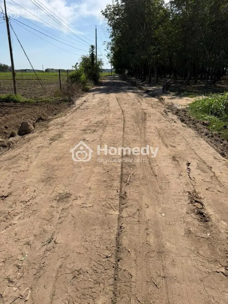 Đất Tân Châu Tây Ninh 1000M2/230Tr , Shr