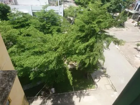 Cho Thuê Căn Hộ Chung Cư Quận 8 45M2 View Công Viên Gần Chợ Nhị Thiên Đường