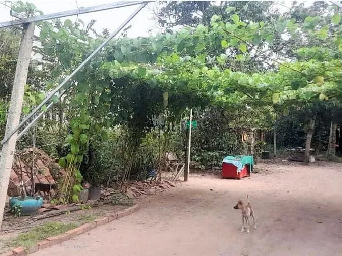 Đất 600M² Đường 501 Nhuận Đức Củ Chi | Khu Dân Cư | Giá Chỉ 4,5 Tỷ