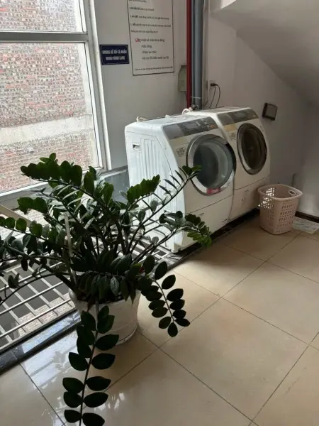 Pass Ccmn Số 18 Ngõ 154 Đình Thôn Vào Ở Từ 22/8 Miễn Phí Tiền Nhà Tháng 8