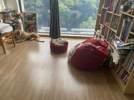 Tim 1-2 Bạn Nữ Ở Cùng Căn Hộ 85 M2 Tại Mipec Rubic Xuân Thuỷ