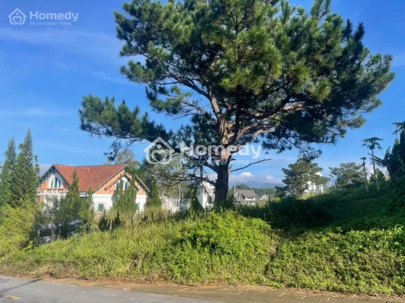 Giá Rẻ Nhất Kqh Đồi Huy Hoàng- 860M2 Ngang 23 M Full Thổ Cư Thế Đất Bằng Phẳng- Chỉ 44Tr/M2.