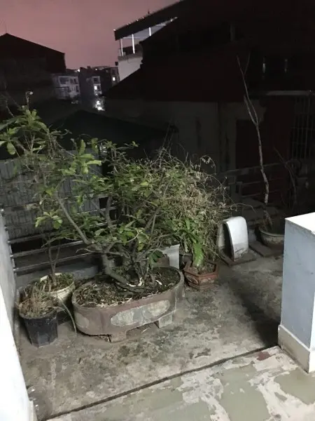 Cho Thuê Nhà Riêng Hướng Đông Nam,Ngọc Hà Ba Dfinhf