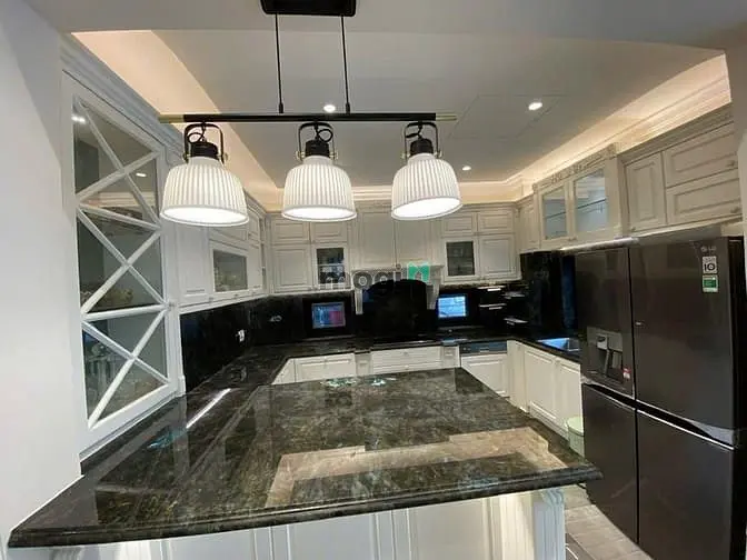 Cho Thuê Biệt Thự Đơn Lập Nam Viên, Phú Mỹ Hưng, Tân Mỹ