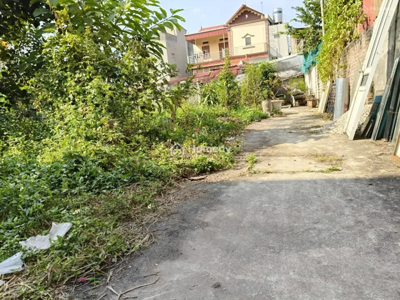 Đất Họa Đống, Trường Thịnh, 54M2, Ôtô Cách 15M, 1.6 Tỷ Ứng Hòa