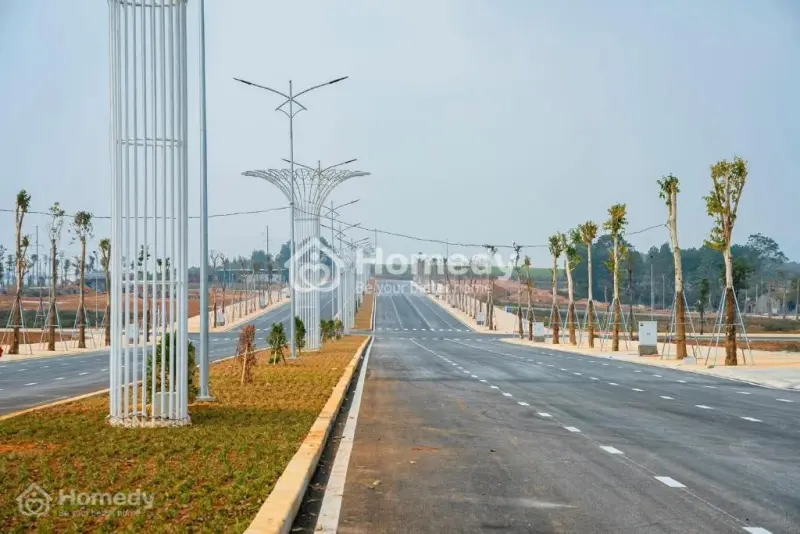 Dự Án Sao Vàng Thọ Xuân