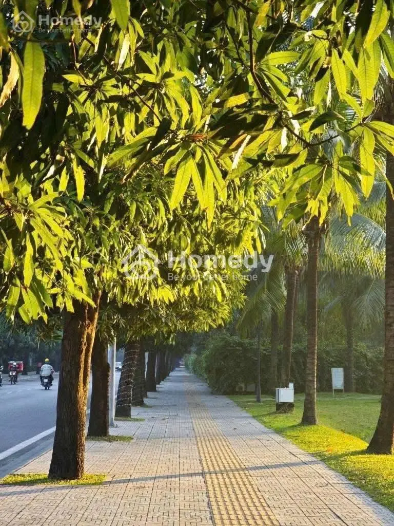 Can Ho The Opus One Phân Khu Kim Cương, Ck 11,5%-Gói Hỗ Trợ Thuê 350Tr, View Sông,Cv36Ha,Pháo Hoa