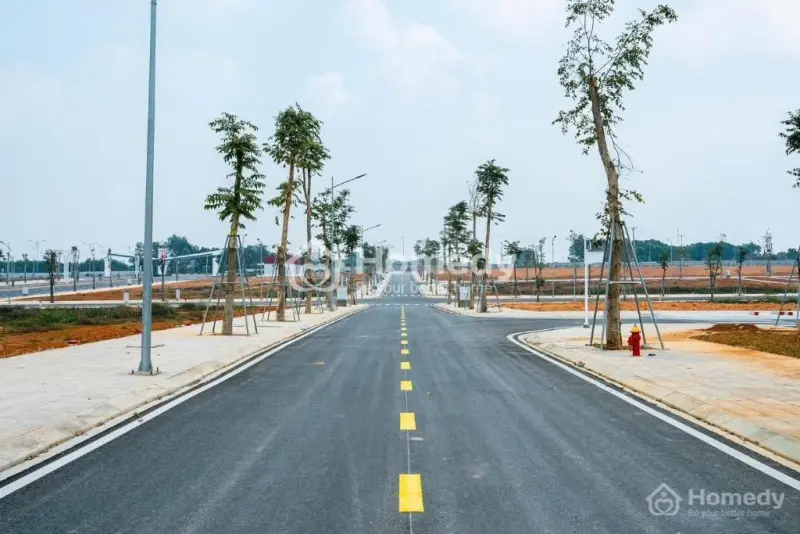 Dự Án Sao Vàng Thọ Xuân