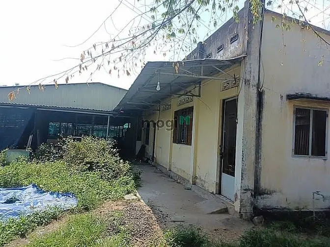 Chính Chủ Gửi Bán Lô Góc 2 Mặt Tiền Đường Số 29 P.long Thạnh Mỹ Quận 9