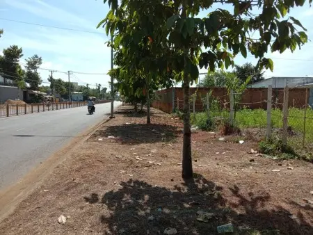 Cho Thuê Mặt Tiền Kinh Doanh Hồ Thị Hương, Sát Nhà Hàng Sunshine, Thuận Tiện Kinh Doanh Đa Ngành