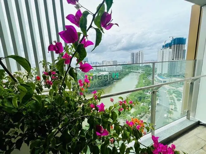 Cho Thuê Căn Hộ Chung Cư Cao Cấp Midtown, 135M2, 3Pn, 3Wc.