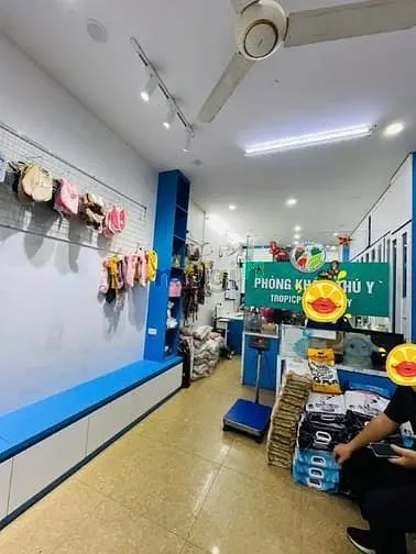 Bán Mặt Phố Trần Quốc Hoàn | 43M2 X 4 Tầng | Mt 3.7M | Giá 37 Tỷ