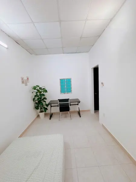 Căn 1 Phòng Ngủ (Tách Bếp) - P04: 3Tr8. Hẻm 115/28 Phạm Hữu Lầu , Q7