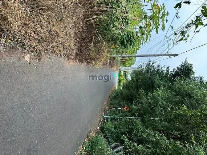 Đất Mặt Tiền Đường Nhựa Bề Ngang 30 Mét Có Thổ Cư Khu Dân Cư Ổn Định