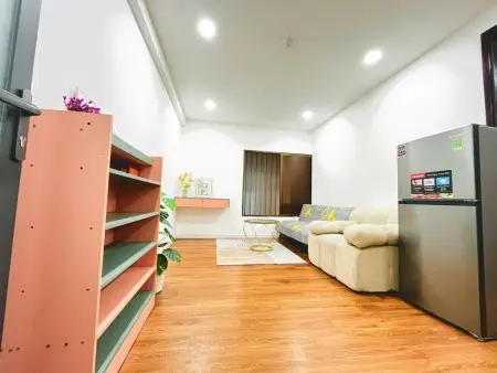 Căn Hộ Dịch Vụ Một Phòng Ngủ Đường Số 79, Quận 7. Gần Siêu Thị Lotte, Cầu Kênh Tẻ, Nguyễn Thị Thập