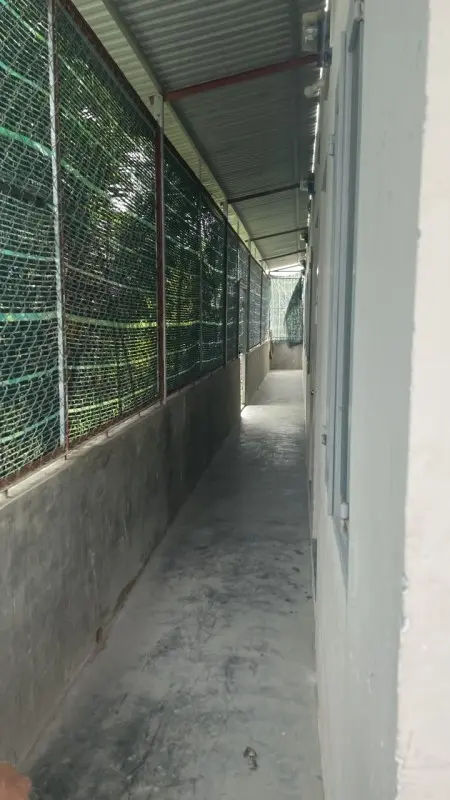 Cho Thuê Phòng Trọ Giá Rẻ - Diện Tích 32M2