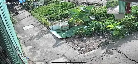 Cho 1 Nam Ở Ghép,Nhà Nguyên Căn - Gần Bến Phà Phú Định Q8