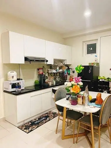 C/C Topaz Garden, Trịnh Đình Thảo, Tp, 70M2, 2Pn, 2Wc, Ntcb, 9Tr/Th.