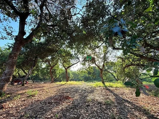 Chính Chủ Cần Bán 1100M2 Đất Vườn View Hồ Trị An - Giá 995Tr