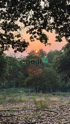 Đất Thống Nhất - 1100M2 - 995Triệu - View Hồ Trị An, Đảo Ó