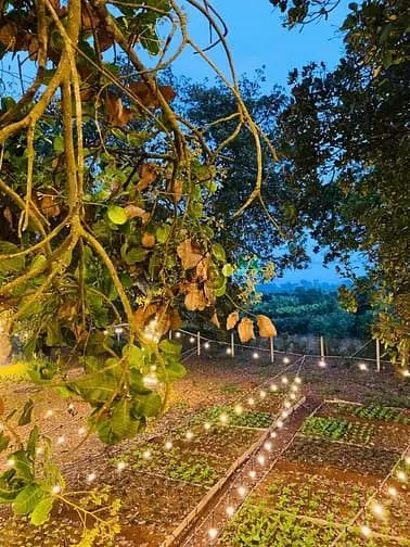 Đất Thống Nhất - 1100M2 - 995Triệu - View Hồ Trị An, Đảo Ó