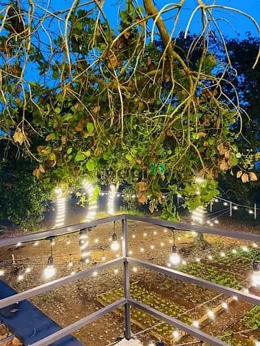 Đất Thống Nhất - 1100M2 - 995Triệu - View Hồ Trị An, Đảo Ó