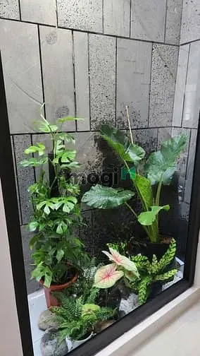 Bán Nhà Tặng Nt Vào Ở Ngay Hxh Phan Huy Ích Ngang 4M 56M2 Gần Emart