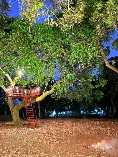 Chính Chủ Cần Bán 1100M2 Đất Vườn View Hồ Trị An - Giá 995Tr