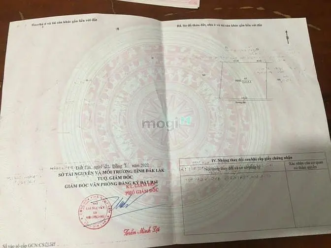 Chính Chủ Bán Hơn 1,1Hecta Nông Lên Nền 300M2 Tóc Tiên Mặt Tiền Ql80