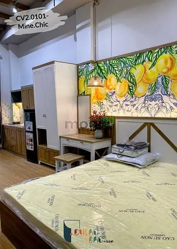 Căn Hộ Cho Thuê Studio, Đầy Đủ Nội Thất - 115 Đường 6 Lakeview City