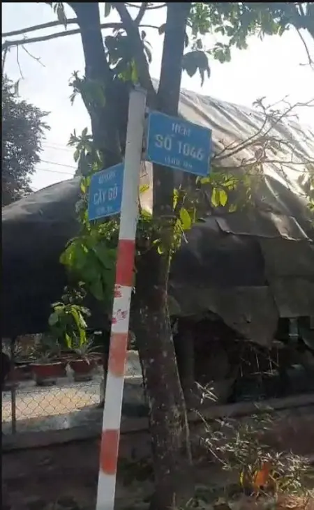 Cho Thuê Nhà Nguyên Căn – An Nhơn Tây, Củ Chi