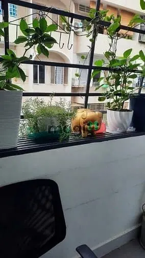 C/C Nguyễn Tri Phương, P8, Q5, 70M2, 2Pn, 1Wc, Lầu 4, Thang Bộ, 9Tr/Th