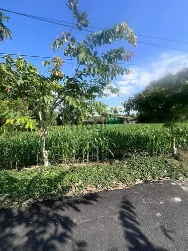 Đất Bán Ngay Ngã Tư Tỉnh Lộ 7 Vs Tỉnh Lộ 2, Trung Lập Thượng, Củ Chi.