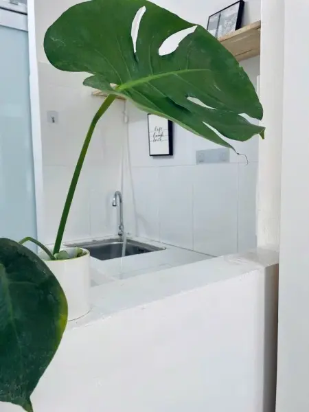 Căn Hộ Xịn Xò – Full Nội Thất – Cửa Sổ Lớn Thoáng Mát Ngay Trung Tâm Phú Nhuận