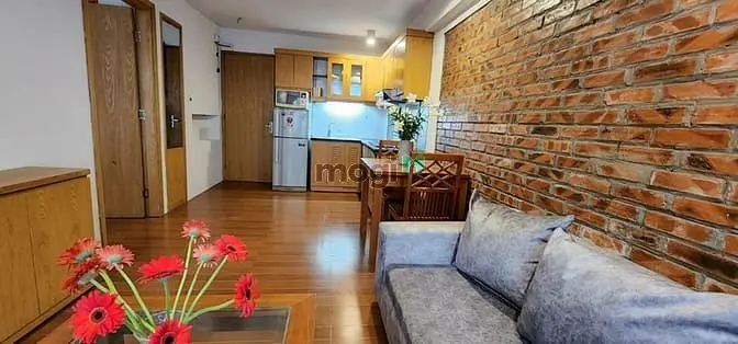 Chính Chủ Cho Thuê Căn Hộ 1K 1N Full Đồ Tại Tô Ngọc Vân, Tây Hồ