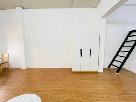 Khai Trương Căn 1Pn + Gác 50M2 Ban Công Siêu Rộng Ngay Khu K300 Quận Tân Bình