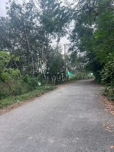 1176M2, Mặt Tiền Đường Bùi Thị Ngọn, An Nhơn Tây, Củ Chi. Giá 6 Tỷ