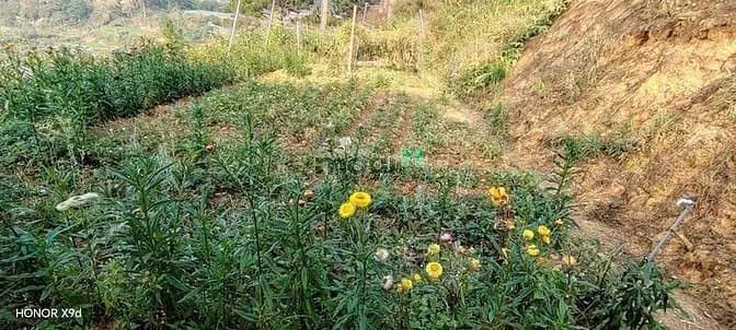 Bán Đất Mặt Tiền Kqh An Sơn – Tặng Nhà Cấp 4 | View Đồi – Khu Biệt Thự