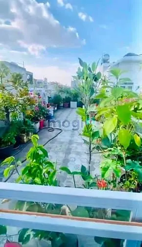 Bán Nhà Rẻ Đẹp (4X16) 379/52/19 Quang Trung P10 Gò Vấp Đối Diện Vincom